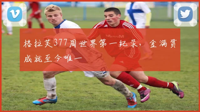 格拉芙377周世界第一纪录，金满贯成就至今唯一