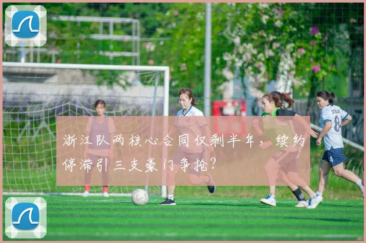 浙江队两核心合同仅剩半年，续约停滞引三支豪门争抢？